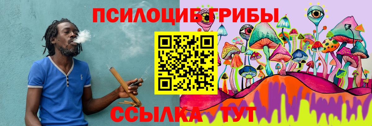 Псилоцибиновые грибы мухоморы Новокуйбышевск